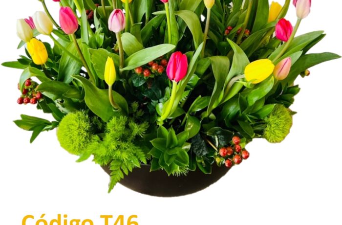 T46